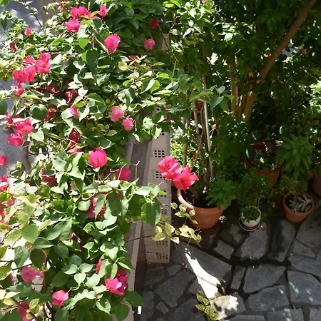 Polemarhos 10 Guest house